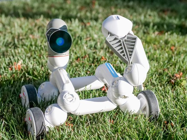 Formation SEO : combien de temps cela dure ?